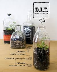 Diy Bottle Terrarium Recyclart Bottle Terrarium Diy Succulent Terrarium Terrarium
