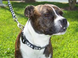 The trouble with Charlie