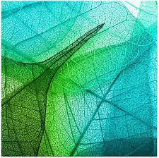 16 juli 2020 mittel entwickler: Buchstaben Auf Transfer Folien Fur Textilien Wie T Shirts Taschen Color Bugeltransfers Dunkelrot Alphabet Abc Transfer Bilder Schnell Einfach Aufbugeln Diy Textildesign Din A4