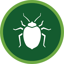 They do not carry any diseases, but according to a research, most az pest control companies claim to treat 80% of bed bugs infestation in single family homes, and 88% state they deal. Bed Bug Icon Green Valley Pest Control Lawn Care