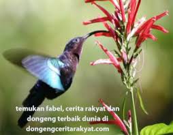 Simak kunci jawaban buku tematik tema 7 kelas 2 halaman 109, 110, 111, pembelajaran 6 subtema 2 mengenai kebersamaan di sekolah. Cerita Fabel Ikan Dan Burung Tema 7 Kelas 2 Sd Loker Bumn