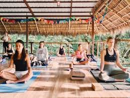 Check spelling or type a new query. 21 Day 200 Hour Ytt At Vida Asana In Playa Hermosa Bookyogaretreats Com