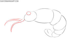 It just cannot differentiate between colors as well as we can. How To Draw A Shrimp Easy Drawing Art