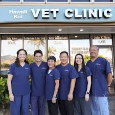 Check spelling or type a new query. Hawaii Kai Veterinary Clinic 82 Photos 139 Reviews Veterinarians 7192 Kalanianaole Hwy Honolulu Hi Phone Number