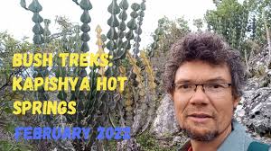 Image result for Brachycorythis buchananii