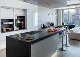 black quartz kitchen countertops
