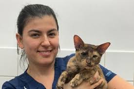 Medivet 24 Hour Faygate