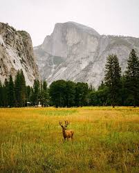 Gabe Vega (@gabevegaphoto) • Instagram photos and videos