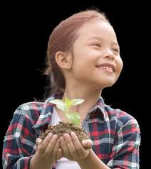 Solutions for Sustainability