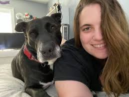 Dog abandoned in Pixley, hurt its paw