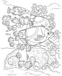 Coral Reef Coloring Book From Dover Publications Coloring Pages Coloring Books Coloring Pages Inspirational