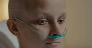 Edwin Vilchez Macalupu