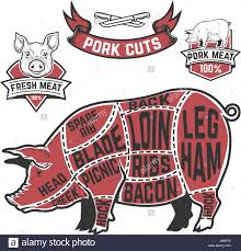 Pork Cuts Butcher Diagram Cow Illustrations On White