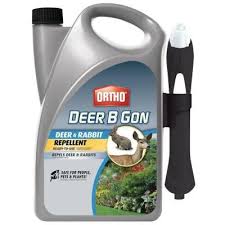 We did not find results for: Ortho Deer B Gon 1 Gal Deer And Rabbit Repellent Ready To Use 0489110 The Home Depot Rabbit Repellent Insect Repellent Spray Repellent