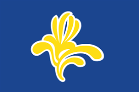 Flaggen und wimpel sind bei windstille und wenn der wind in der signalrichtung weht, ganz unbrauchbar. Flagge Fahne Brussel Region Bruxelles Belgien Flaggen 150x90cm Europa Flaggen 150x90cm Flaggen Buddel Bini Inh Eda Binikowski E K