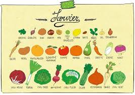 Consommons Les Fruits Et Legumes De Saison C Est Parti Pour Le Mois De Janvier Https Www Fr Fruits Et Legumes Fruits Et Legumes De Saison Legumes Janvier