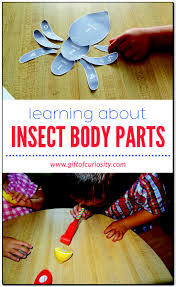 Make free writing worksheet for practice using body parts: Learning About Insect Body Parts Free Printable Gift Of Curiosity