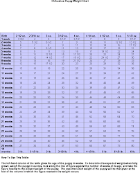 Every dog owner wants to assure their puppy is growing just right and is please note that the chart given here is an approximate upper limit and lower limit of small, medium. Bella S Little Angels Puppy Weight Chart