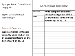 Anatomical terms derive from anatomical terms are made up of roots, prefixes, and suffixes. 1 5 Anatomical Terminology Ppt Video Online Download