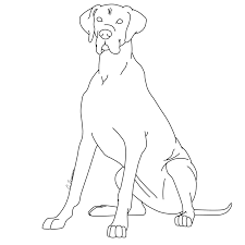 In additon, you can explore our best content you can use these free great dane lps coloring pages for your websites, documents or presentations. Great Dane Dog Coloring Pages Coloring Home