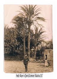 jenin old جنين 30 6 1917 beautiful places places beautiful