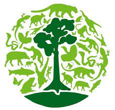 Movimiento Mundial por los Bosques Tropicales (WRM)
Iniciativa internacional cuyo fin es contribuir al beneficio de las comun