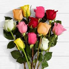 Maybe you would like to learn more about one of these? 230 Ny Flowers Ideas Flowers Wholesale Flowers Buying Wedding Flowers