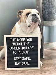 20 of the best quotes of khalil gibran on life, death, love and friendship. 280 Whiteboard Quotes Ideas In 2021 Quotes Inspirational Quotes Life Quotes