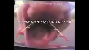 Girl Licking Car Camera Meme Emotion From Pokemon Youtube