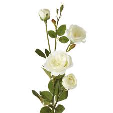 The english garden florist raleigh. Faux English Garden Rose Flower Stem White Oka