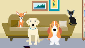 Advanced animal care of colorado and dog 30 gorgeous spring gardens. Advanced Animal Care Of Colorado And D O G T A L E S Activity Center Home Facebook