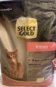 Select gold kitten