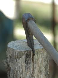 Stay safe and happy choppin! What To Look For When Selecting Firewood Chimney And Wildlife