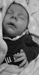 1 CMSS Improver 2021