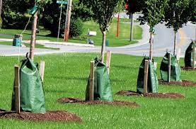 Most plastic bags are made out of a substance called polyethylene. What Are Tree Watering Bags Laidback Gardener