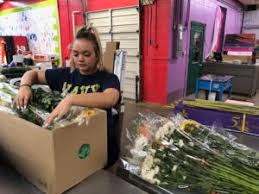 Maybe you would like to learn more about one of these? Dillon Floral Corporation Bloomsburg Pa Flower Growers And Wholesalers Florist Supplies