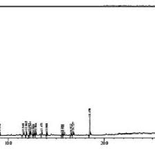 Image result for Toddalia crenulata