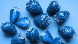 The Truth About Blue Strawberries Blue Strawberry Strawberry Beautiful Fruits