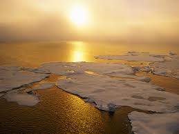Image result for global warming photos