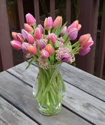Tulip is a spring flower that grows from a bulb. Tulip Arrangement Kreativ Papier