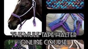 How to tie a 4 strand paracord braid with a core and buckle.: The Mule Tape Halter Online Course Braids By Brette Academy