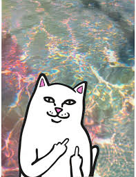 Ripndip Ripndip Wallpaper Ripndip Wallpaper Aesthetic Wallpapers Iphone Wallpaper