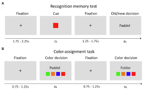 Frontiers | Set Size of Information in Long-Term Memory Similarly Modulates  Retrieval Dynamics in Young and Older Adults