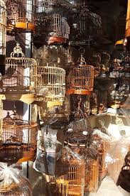 Lisa Kettell S Favorites Bird Cage Decor Vintage Bird Cage Bird Cages