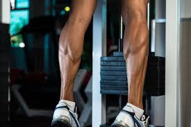 Standing presses and raises are done with the legs straight and emphasize the gastrocnemius. The Ultimate Calves Workouts For Quickly Adding Size And Strength Legion Athletics