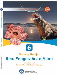 Kunci jawaban matematika ini terdiri dari kegiatan ayo mencoba dan latihan soal pada buku senang belajar matematika kelas 6 kurikulum 2013 k13 revisi 2018. Kunci Jawaban Buku Senang Belajar Matematika Kelas 6 Hal 136 Kumpulan Kunci Jawaban Buku