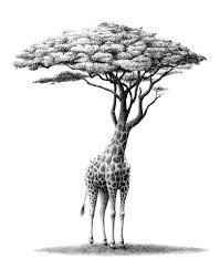 Untitled Cizim Fikirleri Illustration Ve Cizimler
