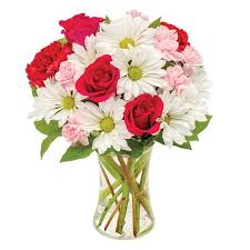 Trust 1800flowers to send sympathy flowers or a sympathy gift delivery. Norte Dame Florist Same Day Flowers Delivery Granger Florist