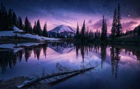 Check spelling or type a new query. Wallpaper Forest The Sky Stars Mountains Night Lake Mountain Images For Desktop Section Pejzazhi Download