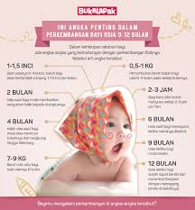 Setiap bulan, bayi akan menunjukkan perkembangan baru yang mendukung kemampuannya kelak. Infografis Ini Angka Penting Dalam Perkembangan Bayi Usia 0 12 Bulan Bukareview